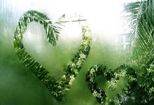 费兰-托雷斯:我正在尝试向年轻人灌输鲨鱼的心态.