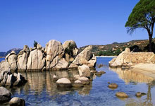 维基体育:曝阿森納有意引進國米邊翼阿什拉夫.